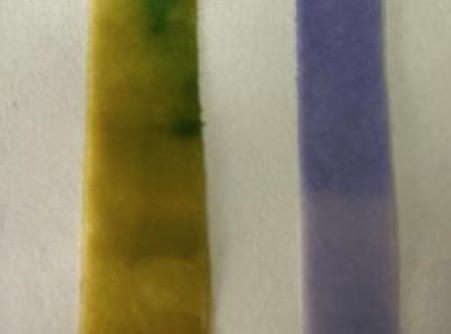 Blood sampling Tube